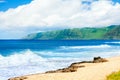 Beautiful ocean coastline of Hawaii, waves crashing on beach Royalty Free Stock Photo