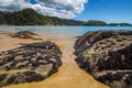 Beautiful ocean landscape with rocks covered in shells of black mollusks Royalty Free Stock Photo