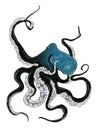 Beautiful octopus isolated on white background. Watecolor painting