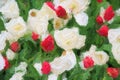 Beautiful oil painted Dutch flowers blooming in spring field