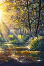 Painting Sunny Forest in Autumn Royalty Free Stock Photo