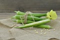 Beautiful okra flower with fruit on wooden background