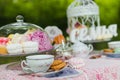 Beautiful old antique tea service Royalty Free Stock Photo