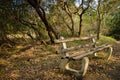 Beautiful Old Bench park in autumn season at a forest of Australia, in close up Royalty Free Stock Photo