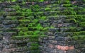 Weathered Brick Wall With Moss Growing On It Royalty Free Stock Photo