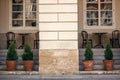 beautiful old building wall, table with wooden chairs and trees, modern exterior of cafe in european city street Royalty Free Stock Photo