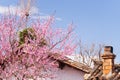 Beautiful old charming Chinese cottage with chimney and blooming Royalty Free Stock Photo