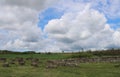 Old curch in Taliandorogd Royalty Free Stock Photo