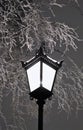 Beautiful old-fashioned lamppost Royalty Free Stock Photo