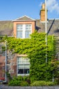 Beautiful old house covered with green ivy