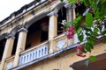 Beautiful Old Houses in Hoi An ancient town