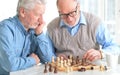 Beautiful old men play chess Royalty Free Stock Photo