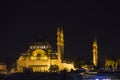 Beautiful old mosque in Istanbul at night Royalty Free Stock Photo