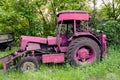 Beautiful, old, pink tractor on the natural background