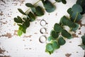 Beautiful old ring on a white table with a sprig of eucalyptus Royalty Free Stock Photo
