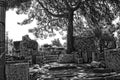 Old ruins of the ancient temple of Athena in Priene in Turkey on a hot summer day