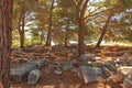 Old ruins of the ancient temple of Athena in Priene in Turkey on a hot summer day