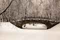 Beautiful old stone bridge of winter forest in the snow at sunset frosty days. Trees covered in frost and snow. Royalty Free Stock Photo