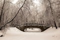 Beautiful old stone bridge of winter forest in the snow at sunset frosty days. Trees covered in frost and snow. Royalty Free Stock Photo