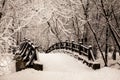 Beautiful old stone bridge of winter forest in the snow at sunset frosty days. Trees covered in frost and snow. Royalty Free Stock Photo