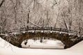 Beautiful old stone bridge of winter forest in the snow at sunset frosty days. Trees covered in frost and snow.