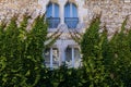 beautiful old stone building with green ivy on wall and decorative windows