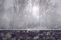 Beautiful Old Stone Wall In Front Of Misty Winter Forest