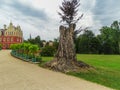 Beautiful old tree in Fuerst Pueckler in Bad Muskau Royalty Free Stock Photo