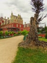 Beautiful old tree in Fuerst Pueckler in Bad Muskau Royalty Free Stock Photo