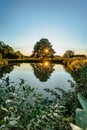 Beautiful old tree with sunrays reflected in water.Rural summer landscape with lonely tree against blue sky at sunset.Peaceful and Royalty Free Stock Photo