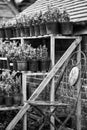 Beautiful old vintage potting shed exterior detail in English co Royalty Free Stock Photo