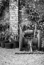 Beautiful old vintage potting shed exterior detail in English co Royalty Free Stock Photo