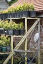 Beautiful old vintage potting shed exterior detail in English co Royalty Free Stock Photo