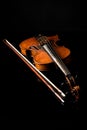 Beautiful old violin Royalty Free Stock Photo