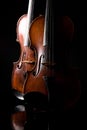 Beautiful old violin Royalty Free Stock Photo