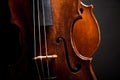 Beautiful old violin Royalty Free Stock Photo
