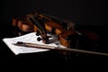 Beautiful old violin Royalty Free Stock Photo