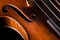 Beautiful old violin Royalty Free Stock Photo