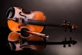 Beautiful old violin Royalty Free Stock Photo