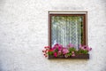 Beautiful old window frame with flower box and light grey wall.