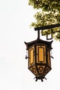 Beautiful old yellow Chinese lantern lamp under tree on the whit Royalty Free Stock Photo