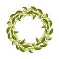 A Beautiful Olive Wreath or Olive Crown