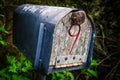 Old letter box Royalty Free Stock Photo