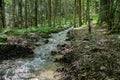 Beautiful Oltschibach Waterfall, Unterbach, Brienz municipality