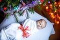 One week old newborn baby wrapped in blanket near Christmas tree Royalty Free Stock Photo