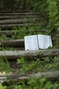 Beautiful open Bible landscape in Isaiah chapter 40 outdoors on a wooden stair step. Copy space.