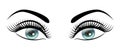 Beautiful open blue eyes with long black lashes The distinctive feminine look