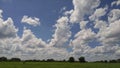 Beautiful open meadow with crystal blue sky and fluffy white clouds above