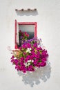 Beautiful open wooden window, pink, white and violet flowers, Monopoli