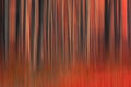 Beautiful orange background imitating tree trunks in a forest Royalty Free Stock Photo